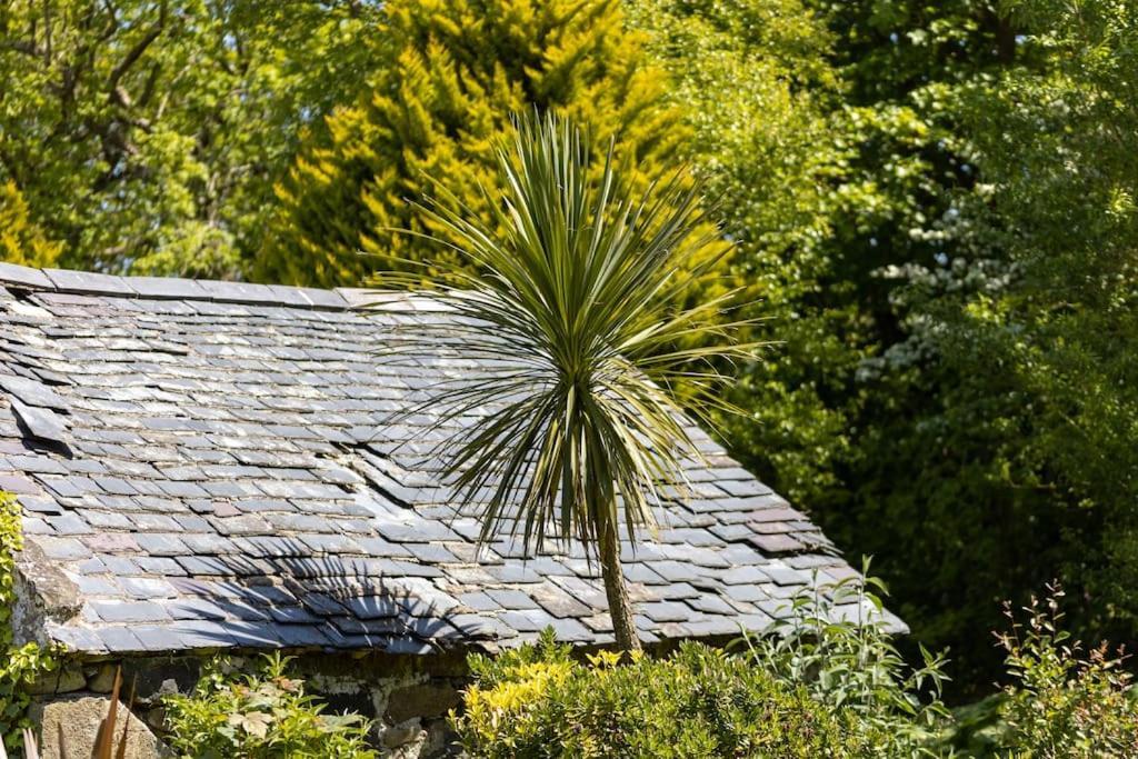 Plas Newydd With Swimming Pool, Fire Pit, And Log Fires Villa Rhiw Exteriör bild